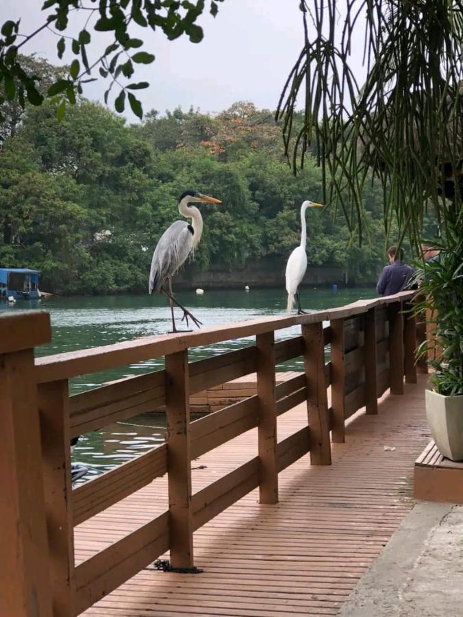Apartmán Barra Da Tijuca Rio De Janeiro Ilha Da Gigoia Exteriér fotografie